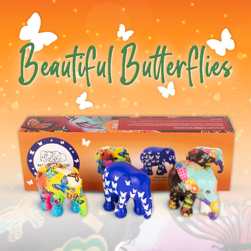 Beautiful Butterflies