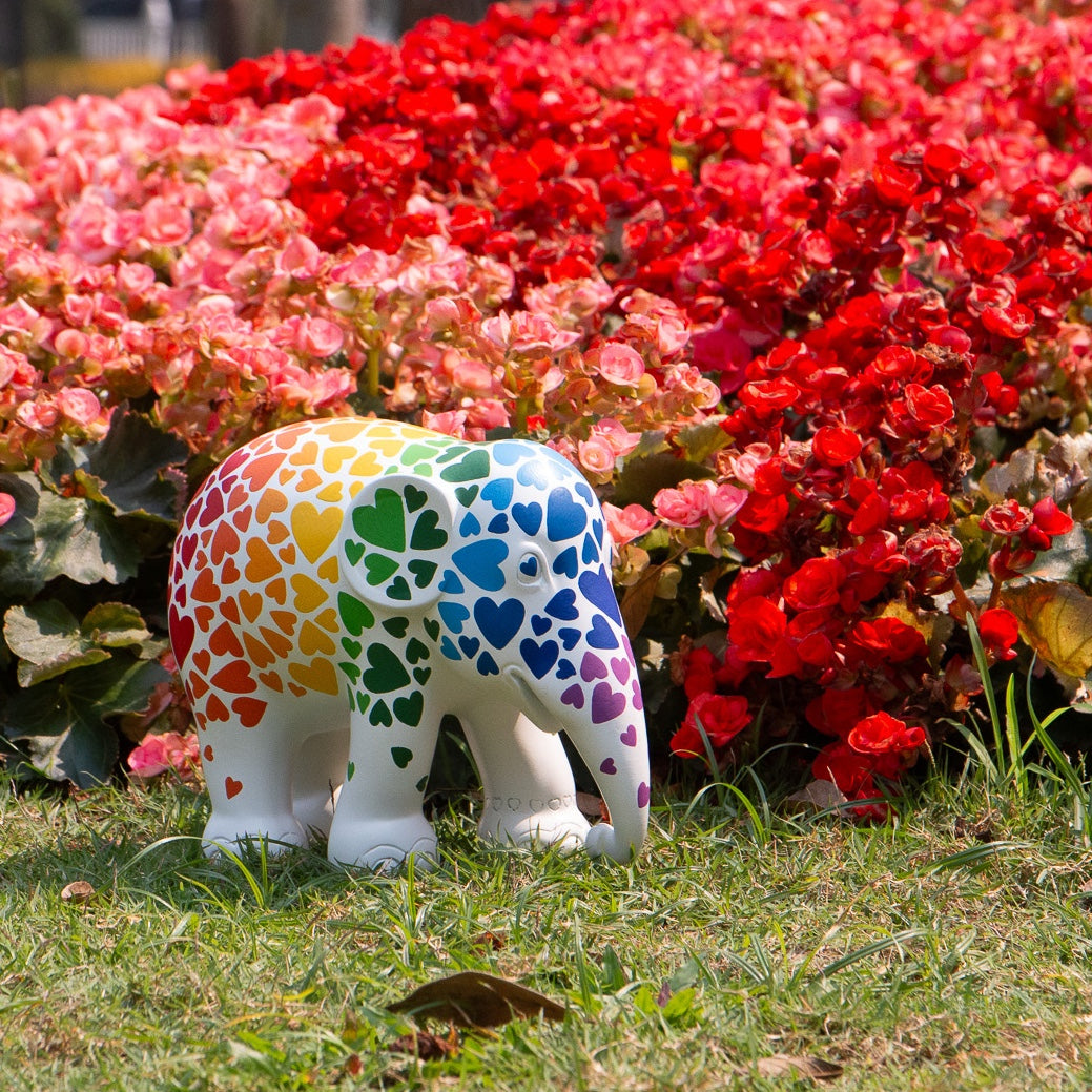 Colour of Love