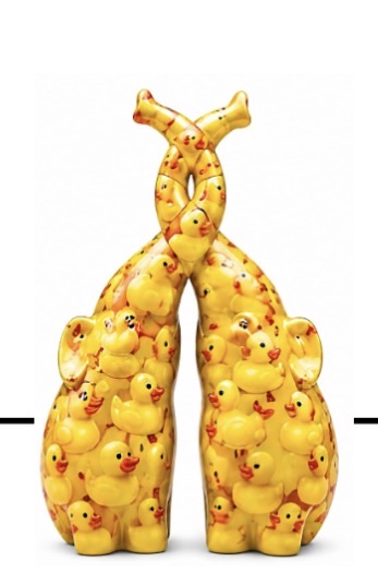 ONE duckie
