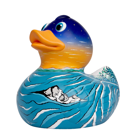 Nightfall Duck