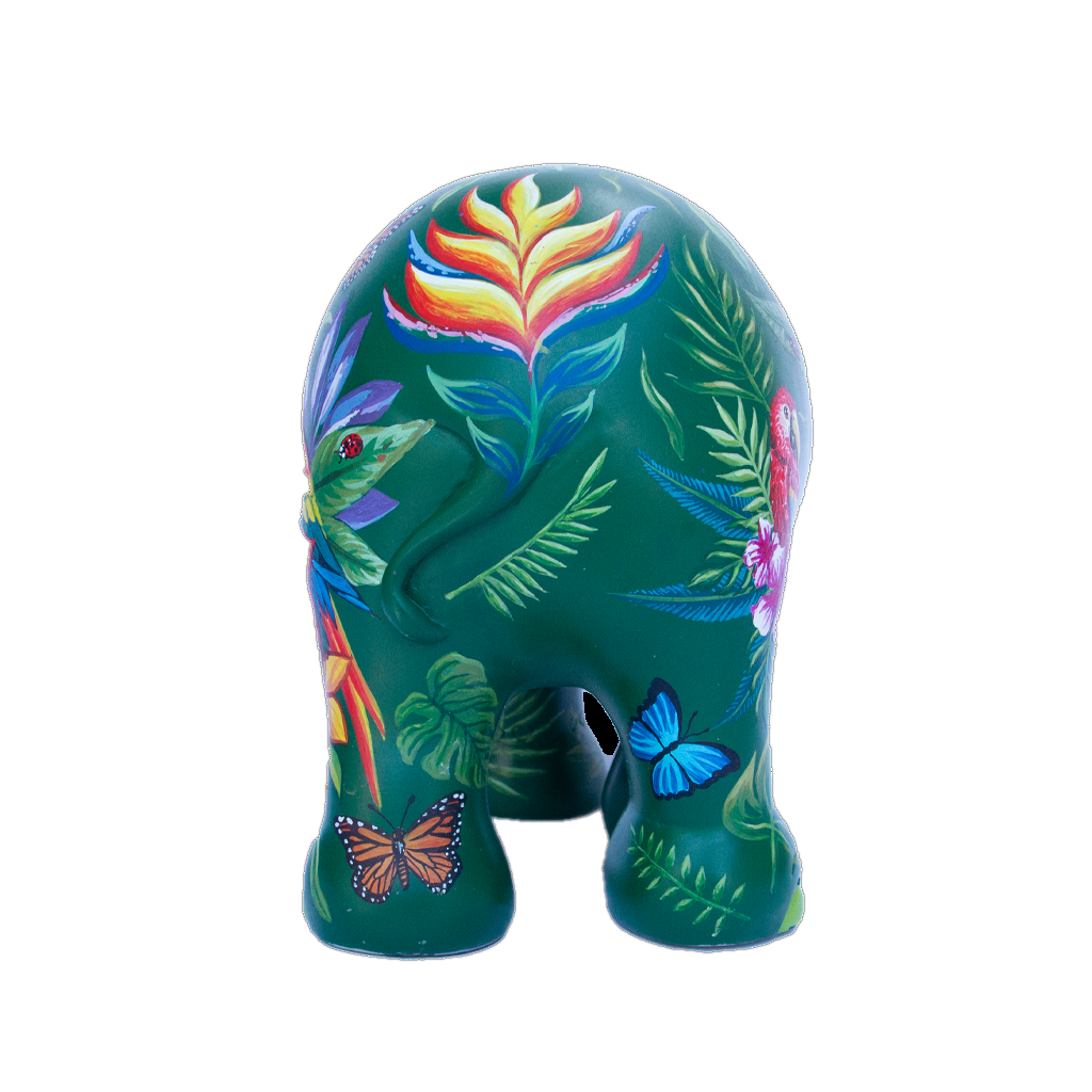 Plant Paradise