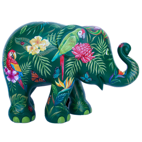 Plant Paradise